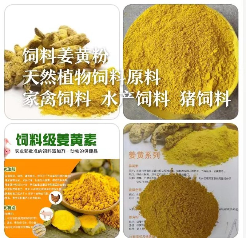饲料姜黄粉饲料着色药用价值