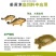 饲料姜黄粉饲料着色药用价值