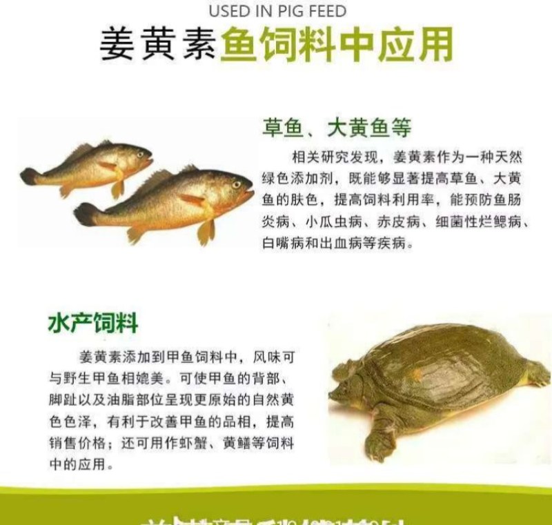 饲料姜黄粉饲料着色药用价值