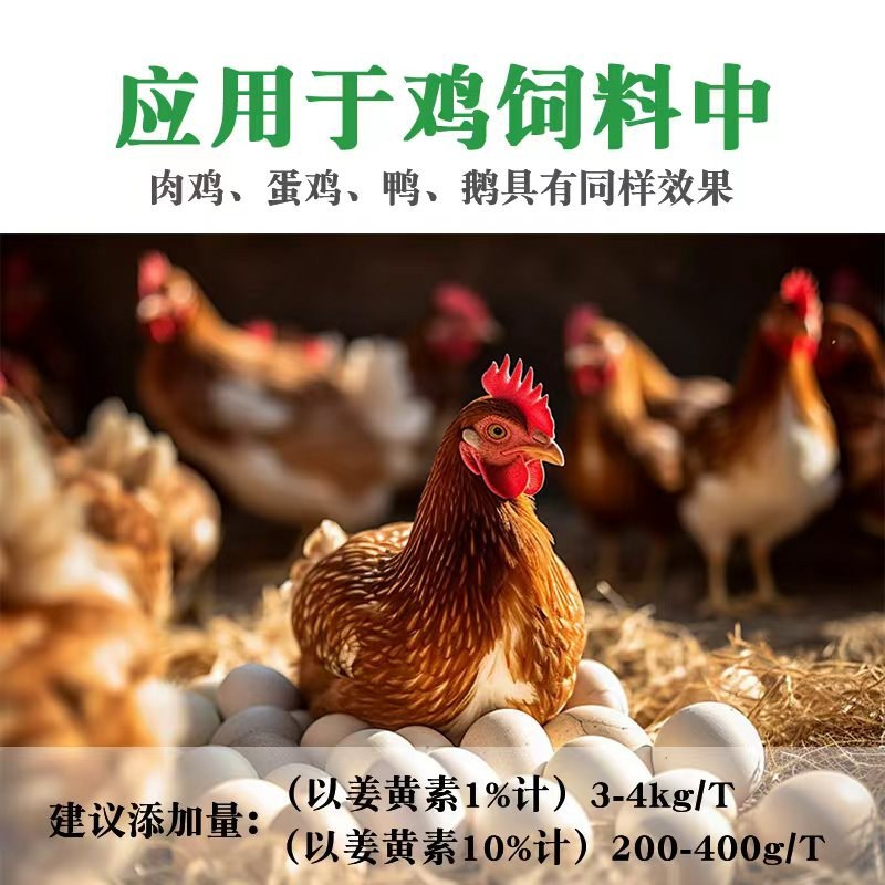 饲料姜黄粉饲料着色药用价值