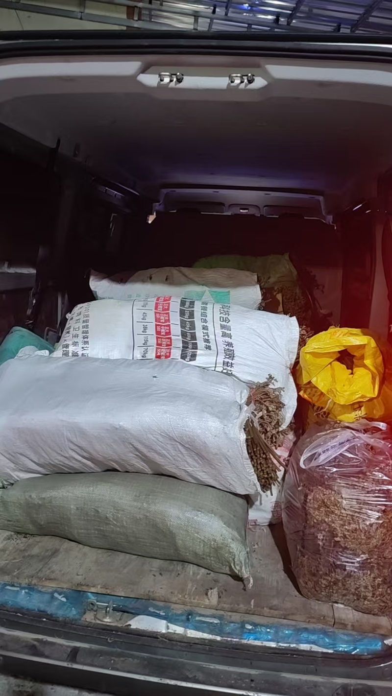 大家好这是贵州蕨菜产地直发需要的可以来找我
