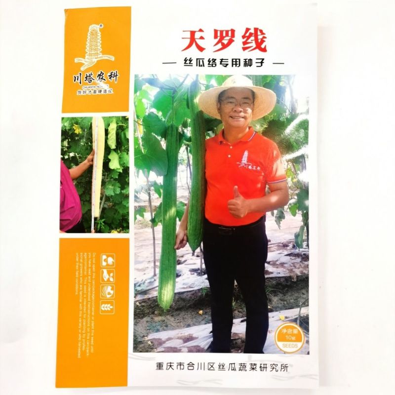 丝瓜络种子川塔农科天罗线丝瓜络专用种子嫩瓜可鲜食