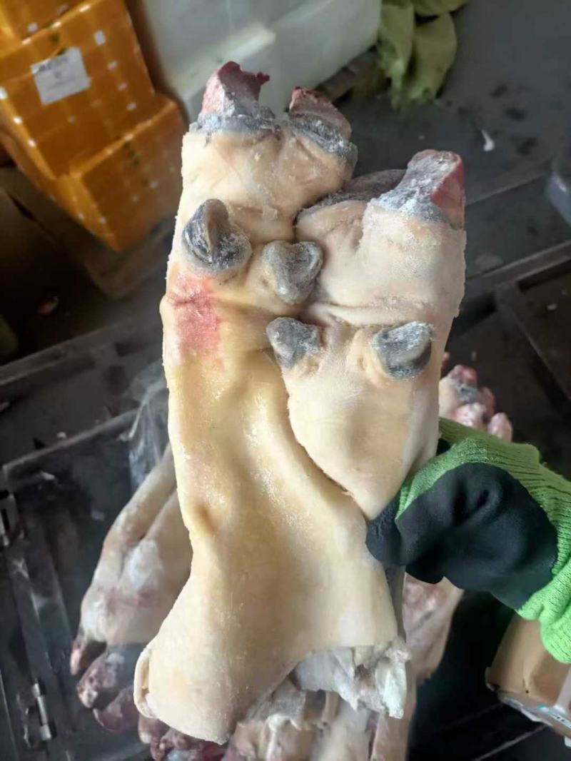 半去骨牛蹄