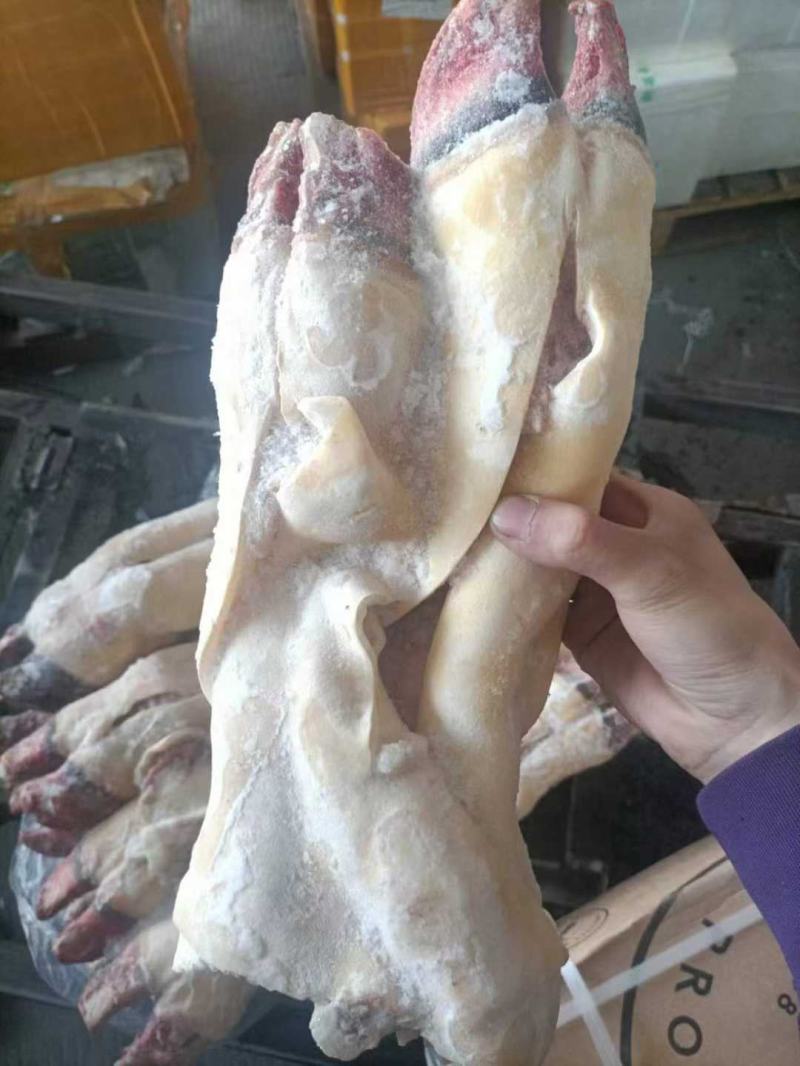 半去骨牛蹄