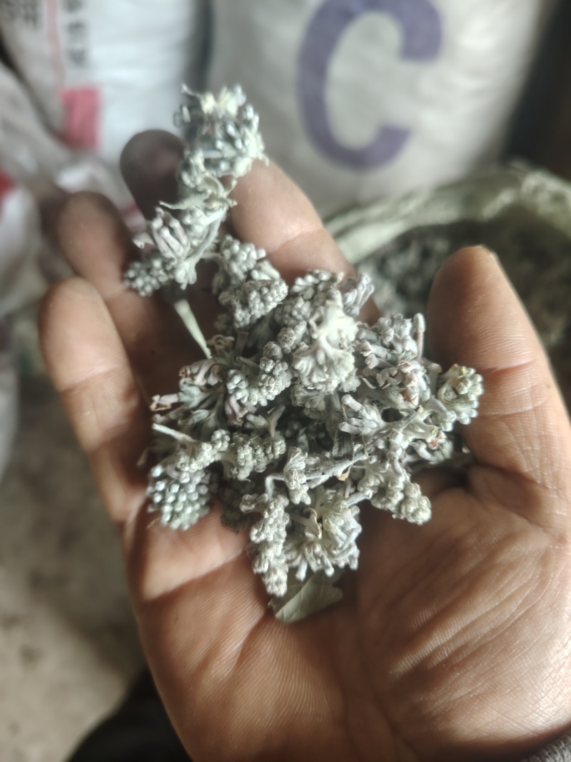 密蒙花，又名米汤花，野外原生态采摘哂干，前期货花蕾多