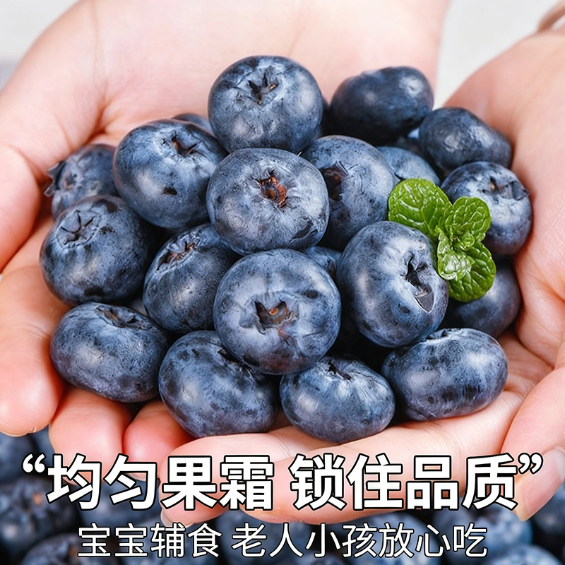 云南高原蓝莓，阳光直采