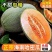 海南哈密瓜一件代发高品质坏果包赔