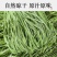 特级今年新菜贡菜无叶贡菜干新鲜苔干苔菜农家土特产干货脱水