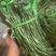 特级今年新菜贡菜无叶贡菜干新鲜苔干苔菜农家土特产干货脱水