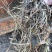 优质花生秧，黄白绿，黄绿，通货，无土无膜无霉变。