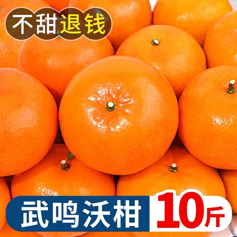 武鸣沃柑，电商代发，团购，日发3万单，包售后，