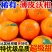 武鸣沃柑，电商代发，团购，日发3万单，包售后，