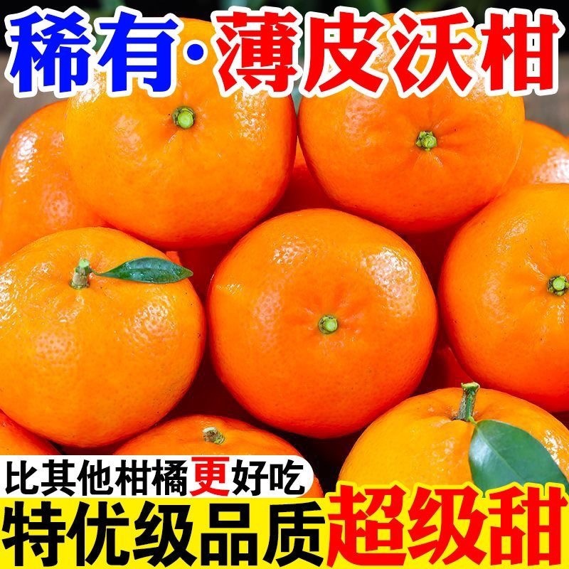 武鸣沃柑，电商代发，团购，日发3万单，包售后，