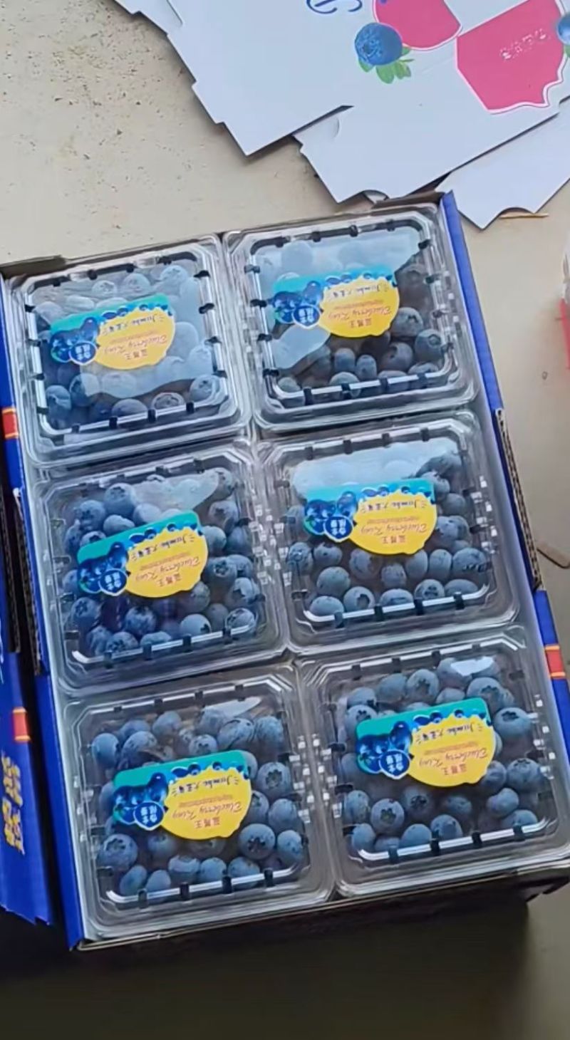 山东本地蓝莓大量上市，品种齐全全国发货
