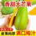 芒果，支持各大电商平台发货，日发5万单，售后低，利润高，