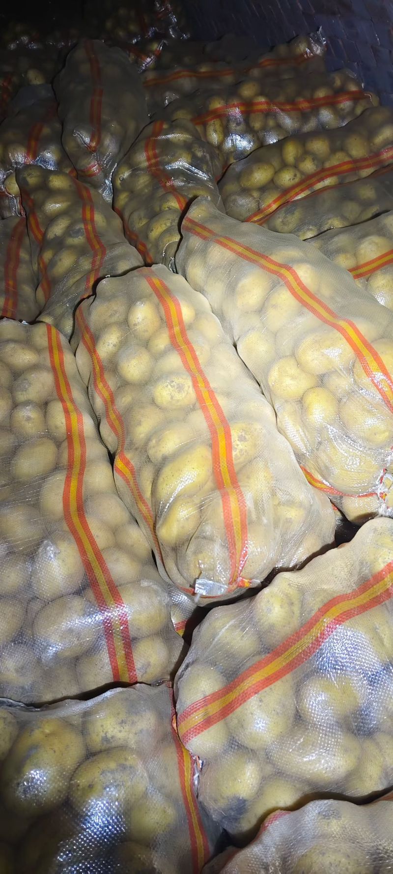 云南黄心土豆，价格优惠，质量保证，量大从优，质量保证