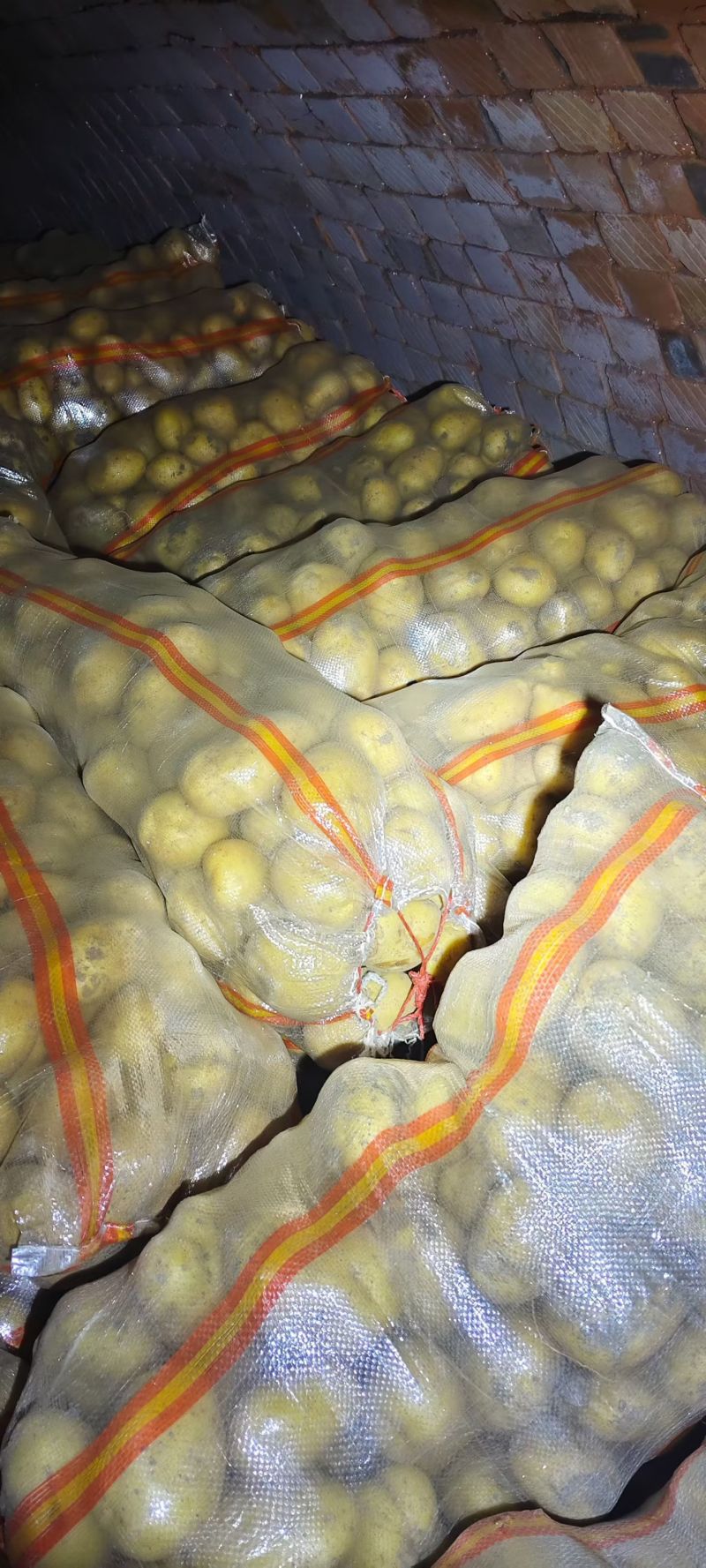云南黄心土豆，价格优惠，质量保证，量大从优，质量保证