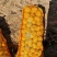 云南黄心土豆，价格优惠，质量保证，量大从优，质量保证