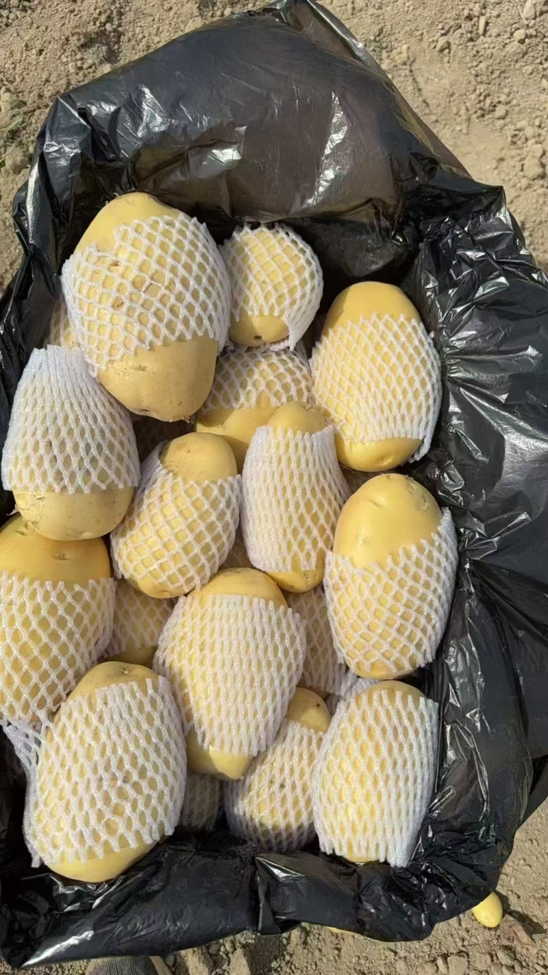 云南黄心土豆，价格优惠，质量保证，量大从优，质量保证