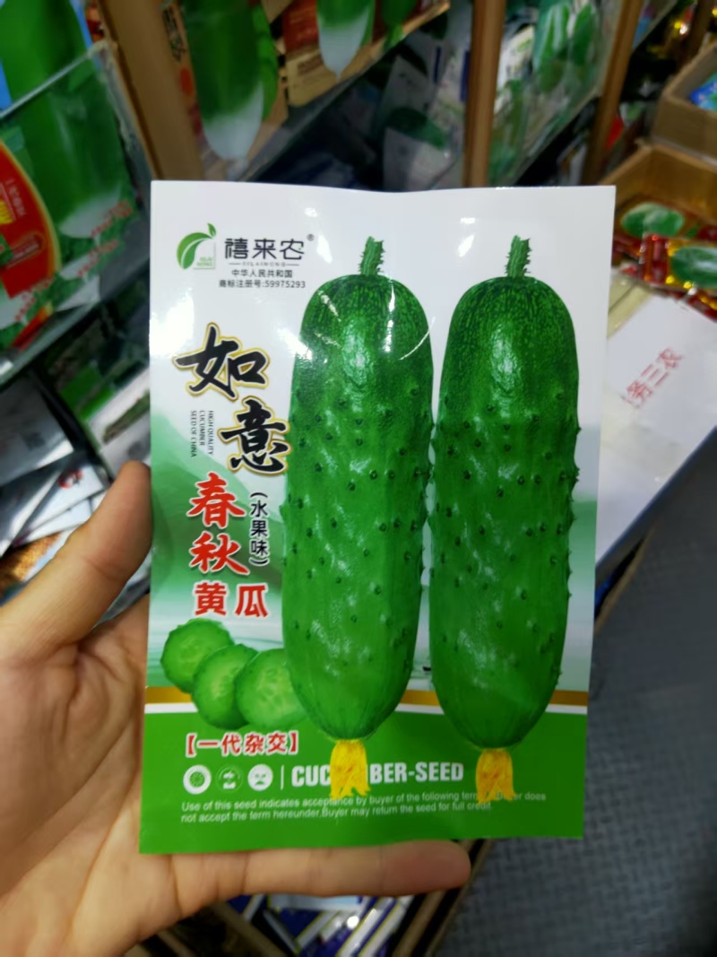 如意春秋水果黄瓜种子口感清香肉质脆嫩阳台盆栽蔬菜种子