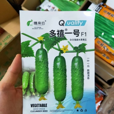 水果黄瓜种子一叶一瓜黄瓜种子脆嫩清香早熟春秋露地种植