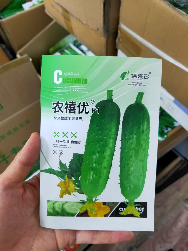 水果黄瓜种子一叶一瓜黄瓜种子脆嫩清香早熟春秋露地种植