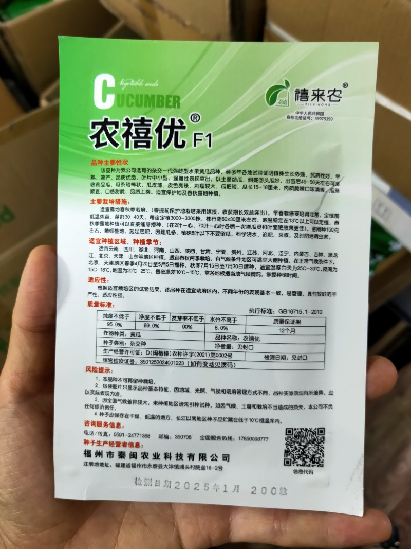 水果黄瓜种子一叶一瓜黄瓜种子脆嫩清香早熟春秋露地种植