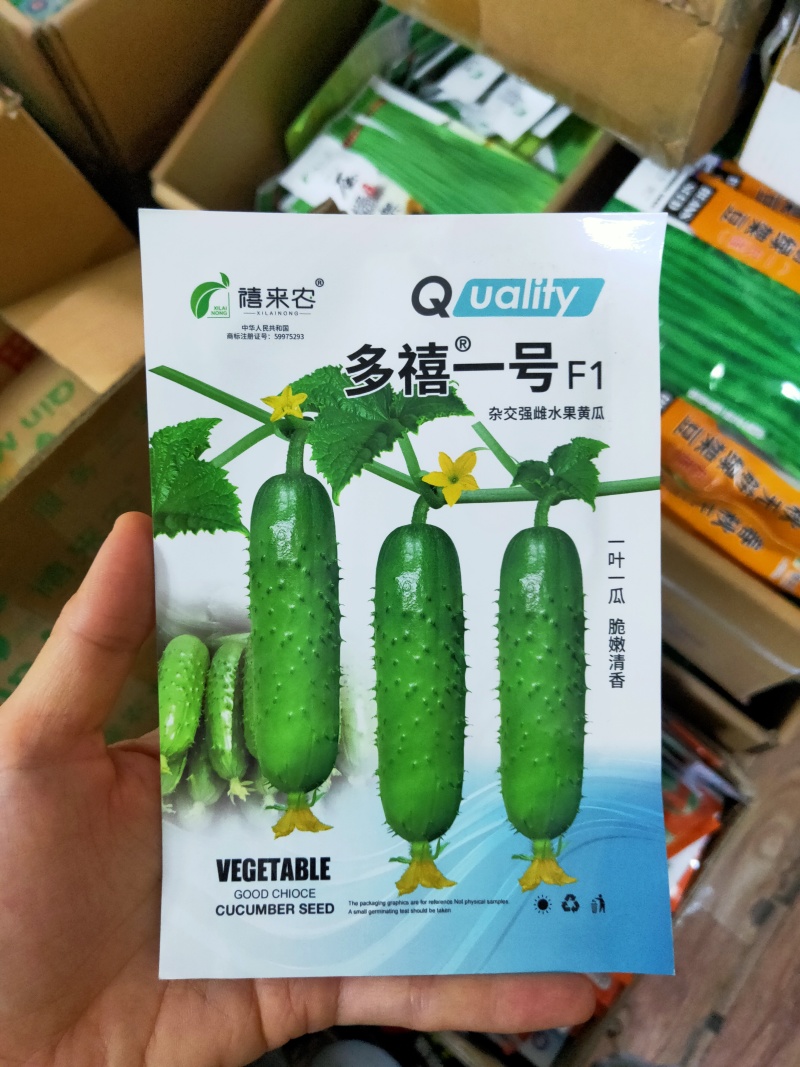 水果黄瓜种子一叶一瓜黄瓜种子脆嫩清香早熟春秋露地种植