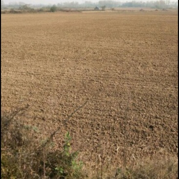 出租整改好的土地4000亩，水路电三通，有要联系我。