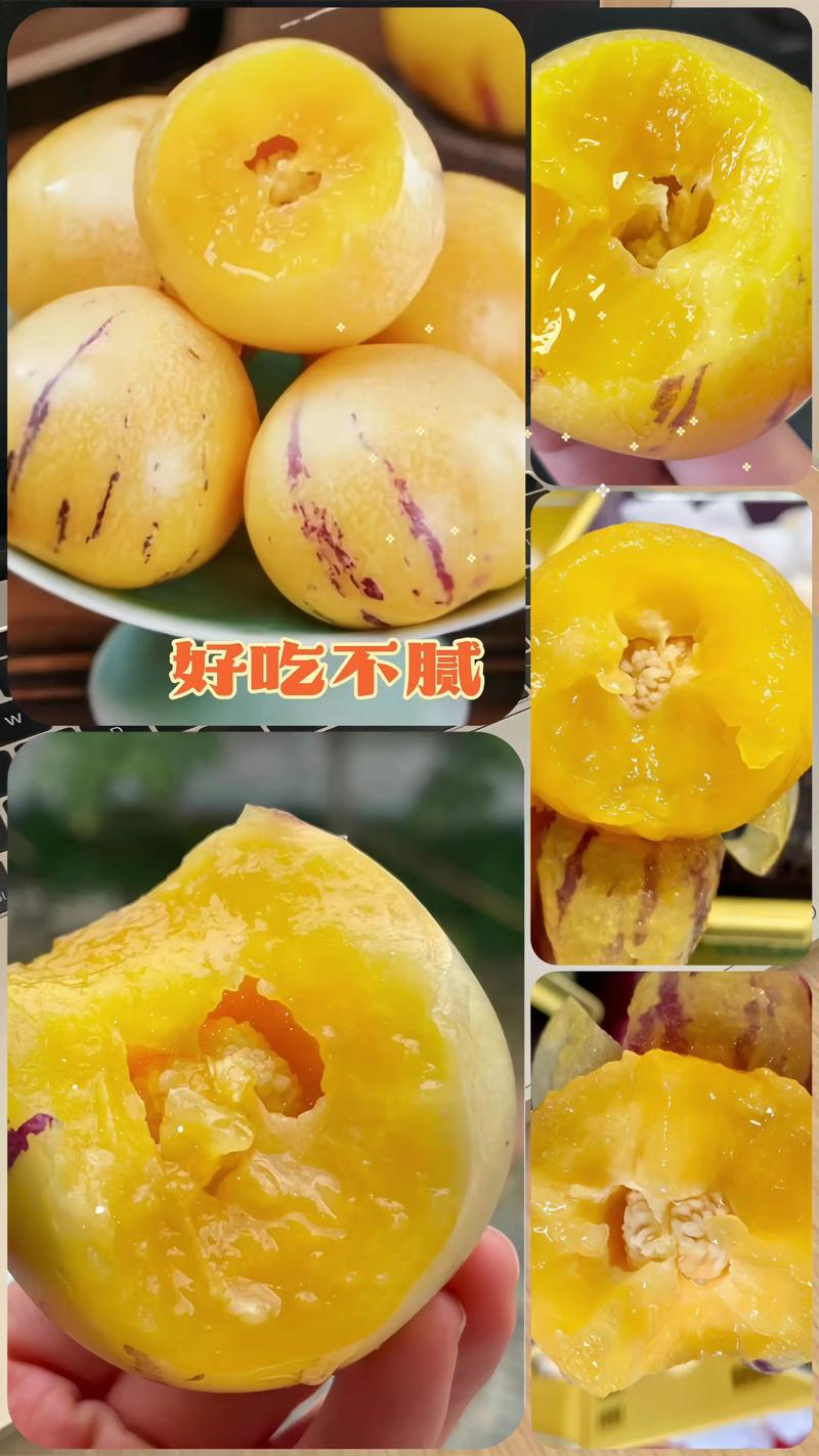 甘肃民勤产地精品人参果对接电商市场商超可视频看货