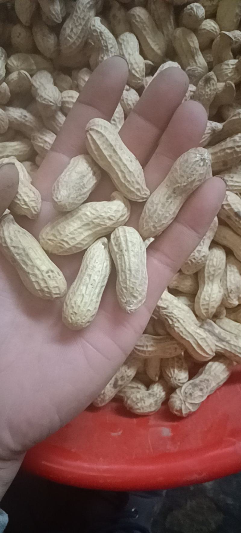 富硒黑花生。。。。。。。。。。。。。。。