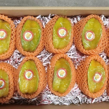 黄金杨桃