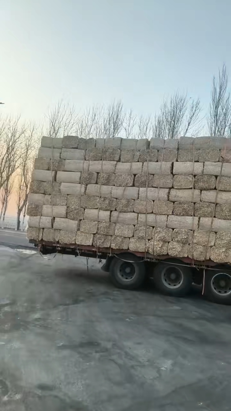 辽宁玉米秸秆大量接单产地直发量大从优欢迎来电