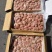 山羊宝