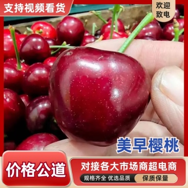 【美早樱桃】山东大樱桃新鲜上市产地一手货源规格齐全