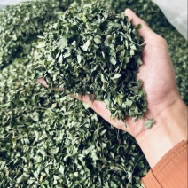 特级青绿鸡骨草小叶