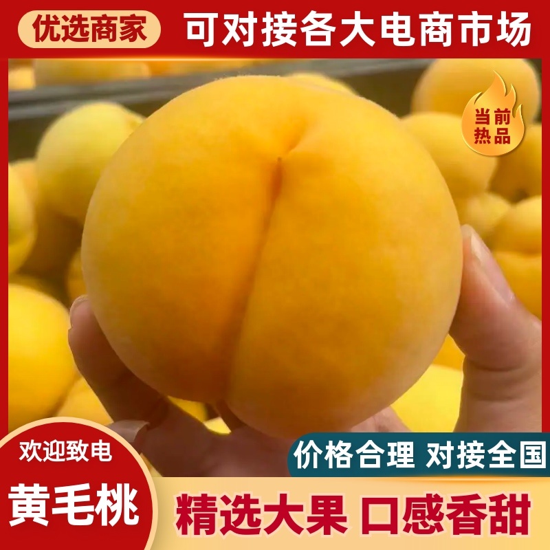 【推荐】精品黄毛桃口感香甜规格齐全价格好对全国