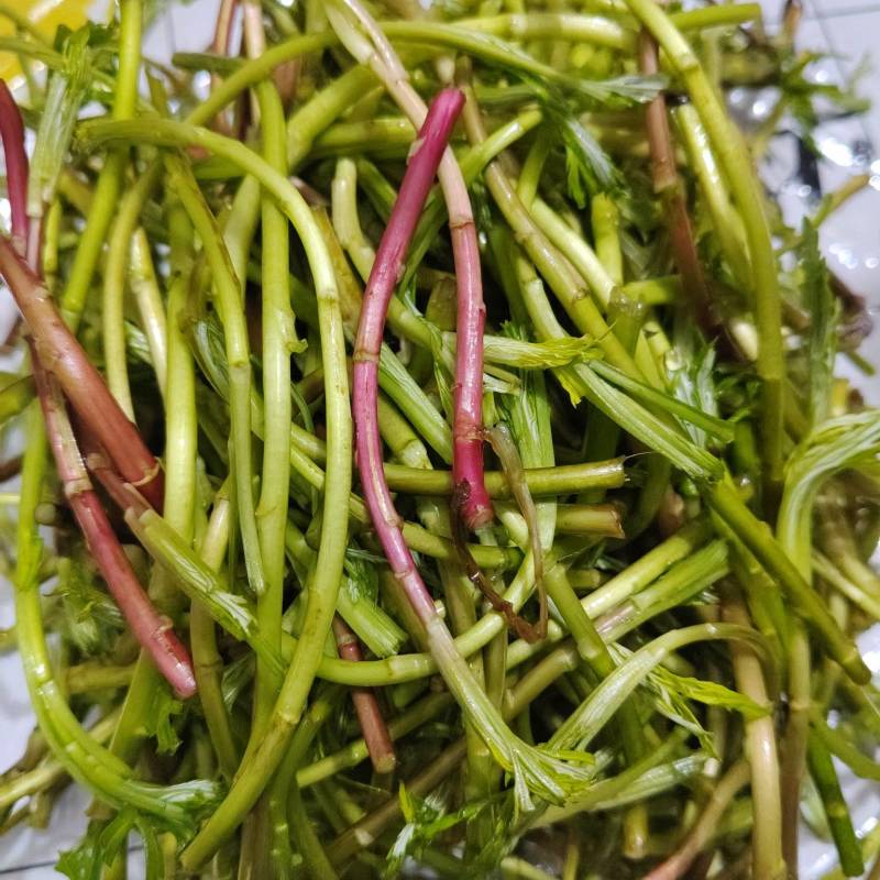 野生藜蒿泥蒿黎蒿非大棚芦蒿腊肉篱蒿蔬菜新鲜当季