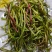 野生藜蒿泥蒿黎蒿非大棚芦蒿腊肉篱蒿蔬菜新鲜当季