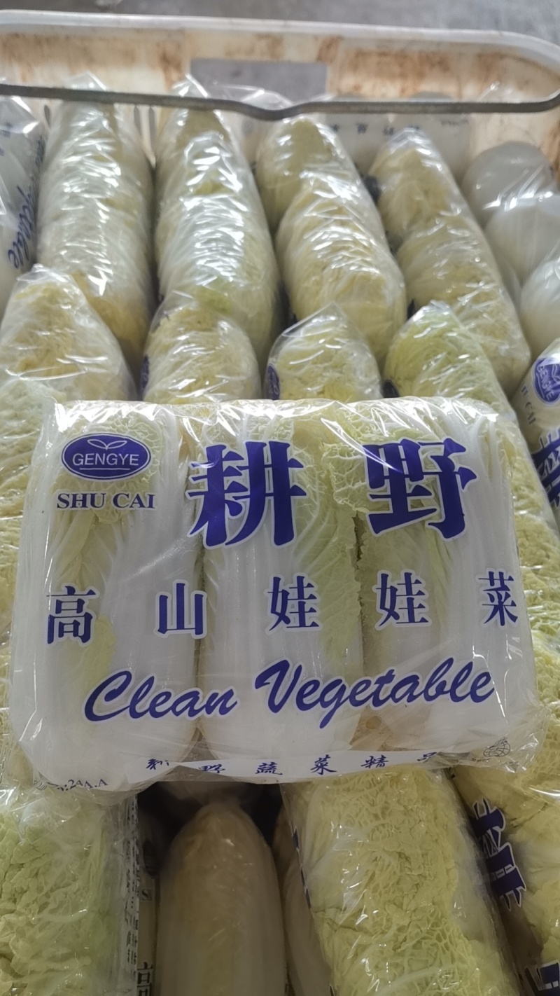 娃娃菜云南产地直发，现货直供，欢迎咨询，询一手货源