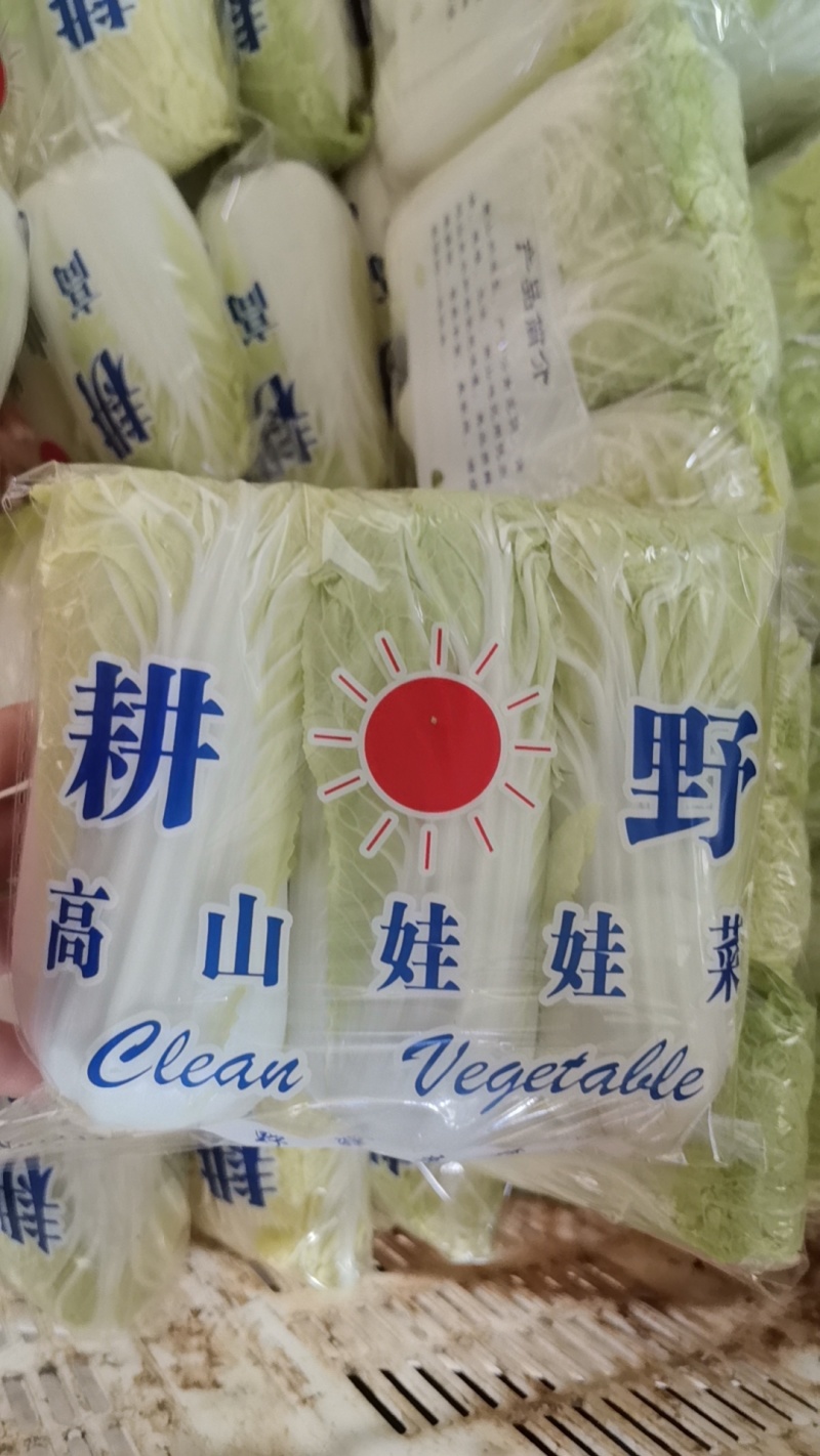 娃娃菜云南产地直发，现货直供，欢迎咨询，询一手货源