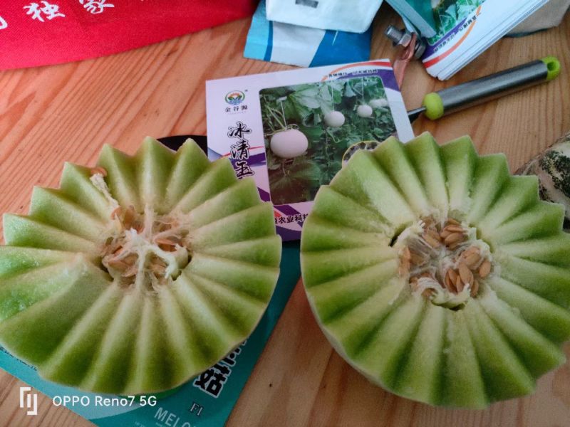 冰清玉茹（正圆型）早熟成熟果肉淡绿色肉厚腔小单瓜3.5公