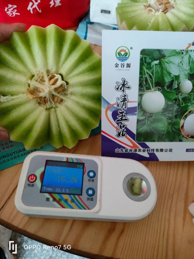 冰清玉茹（正圆型）早熟成熟果肉淡绿色肉厚腔小单瓜3.5公