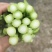 山东万亩叶菜产地季节性供应市场、电商快菜苔小白苔
