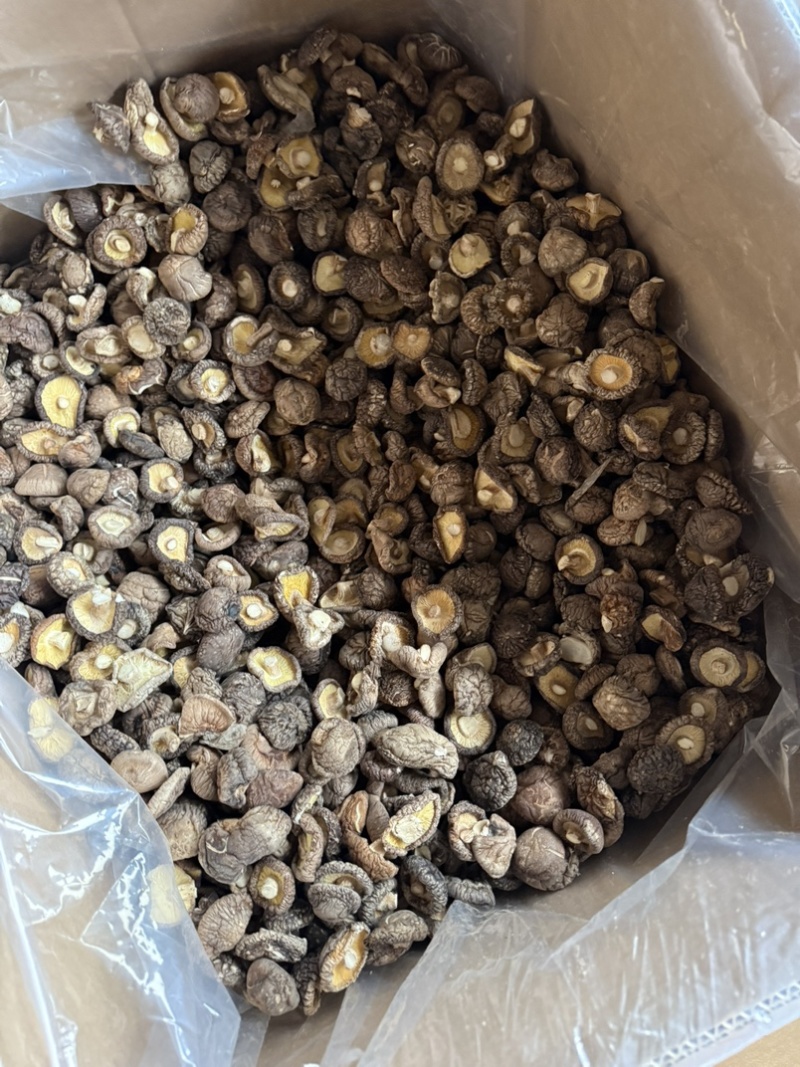 包邮精选冬菇3～4cm烘干香菇2026新货