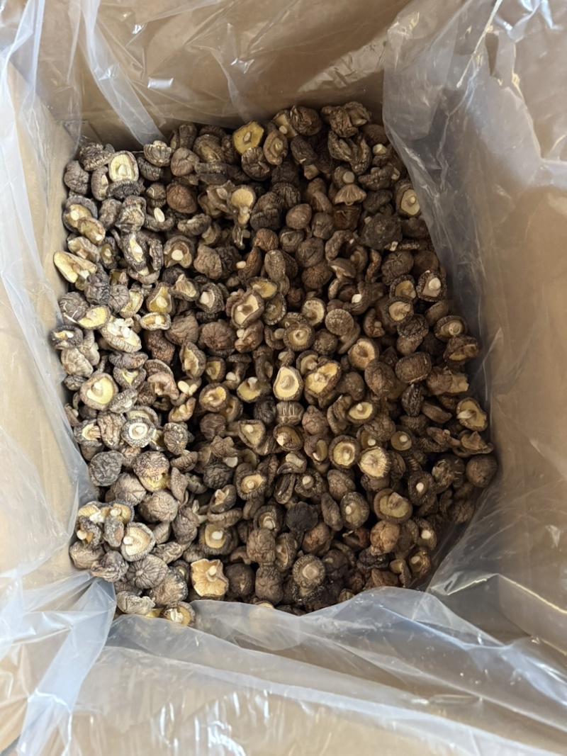 包邮精选冬菇3～4cm烘干香菇2026新货