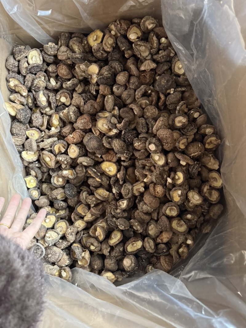 包邮精选冬菇3～4cm烘干香菇2026新货
