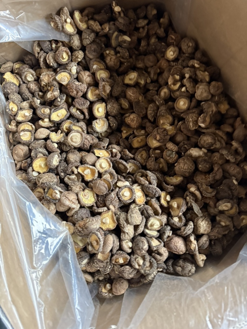 包邮精选冬菇3～4cm烘干香菇2026新货