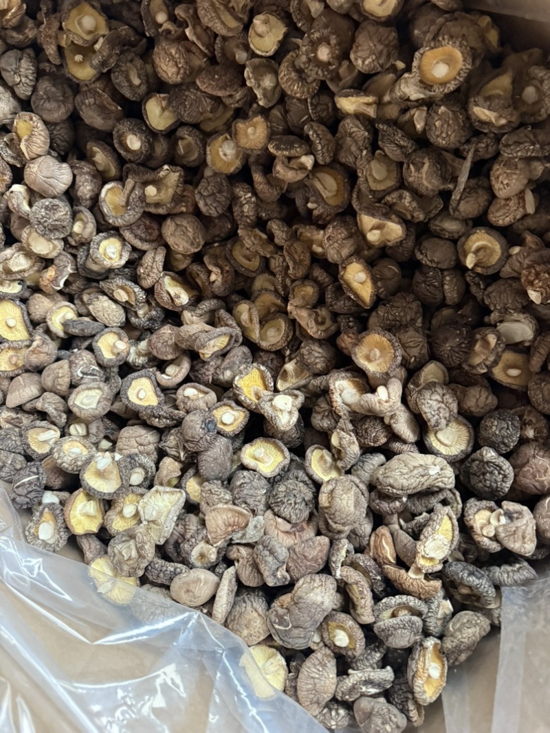 包邮精选冬菇3～4cm烘干香菇2026新货