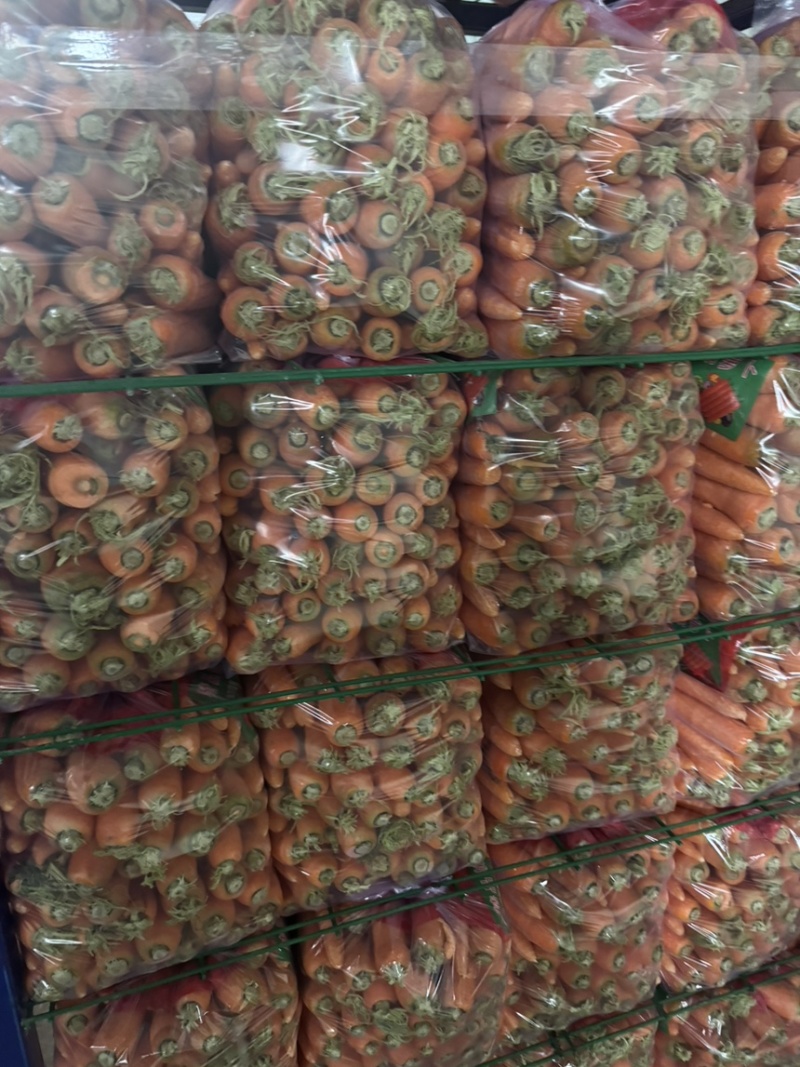 精品胡萝卜水洗小条，一手货源，质量保证。